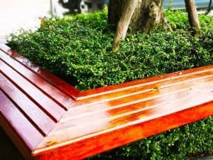 wooden bench around a tree